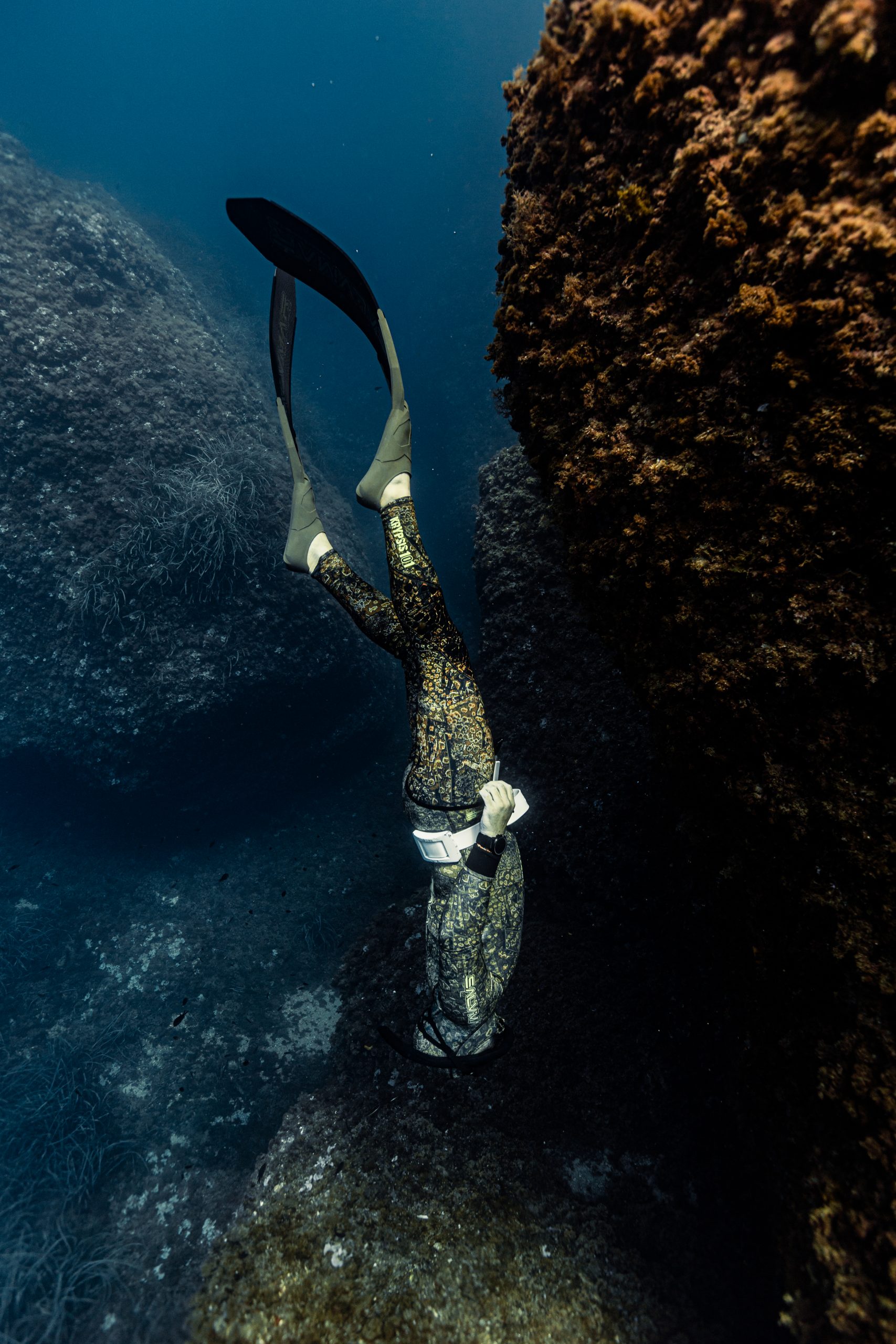 Croisières plongée & apnée en catamaran | Tahiti Freediving