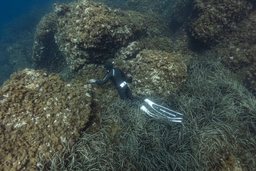 apprendre l’apnée sans risque
